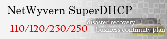 NetWyvern SuperDHCP title
